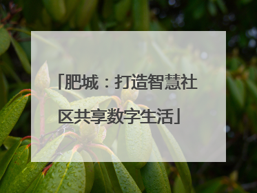 肥城：打造智慧社区共享数字生活