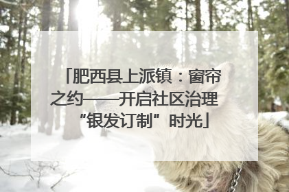 肥西县上派镇：窗帘之约——开启社区治理“银发订制”时光