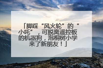 脚踩“风火轮”的“小吒”，可脱离遥控板的机器狗，泡桐树小学来了新朋友！