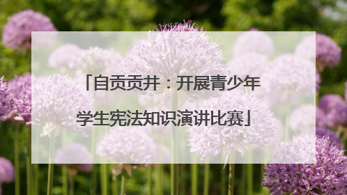 自贡贡井：开展青少年学生宪法知识演讲比赛