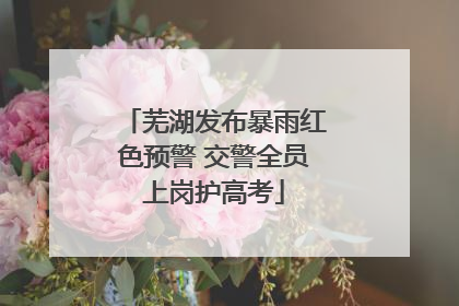 芜湖发布暴雨红色预警 交警全员上岗护高考