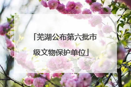 芜湖公布第六批市级文物保护单位