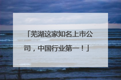 芜湖这家知名上市公司，中国行业第一！
