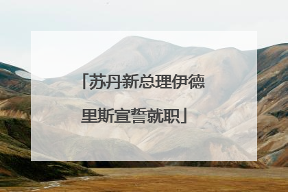 苏丹新总理伊德里斯宣誓就职