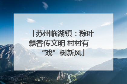 苏州临湖镇：粽叶飘香传文明 村村有“戏”树新风