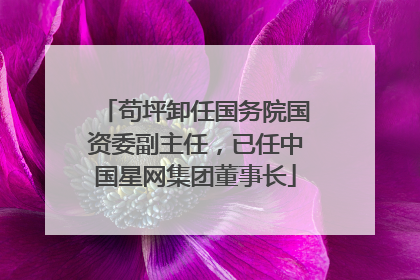 苟坪卸任国务院国资委副主任，已任中国星网集团董事长