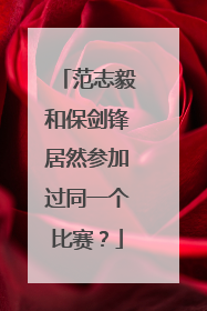 范志毅和保剑锋居然参加过同一个比赛？