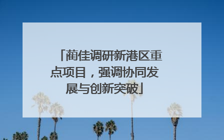 蔺佳调研新港区重点项目，强调协同发展与创新突破