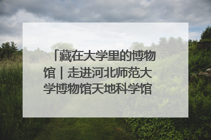 藏在大学里的博物馆｜走进河北师范大学博物馆天地科学馆：在校园里赴一场“宇宙之约”
