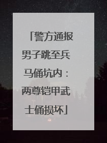 警方通报男子跳至兵马俑坑内：两尊铠甲武士俑损坏