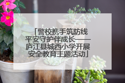 警校携手筑防线 平安守护伴成长——庐江县城西小学开展安全教育主题活动