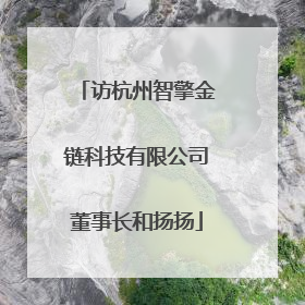 访杭州智擎金链科技有限公司董事长和扬扬