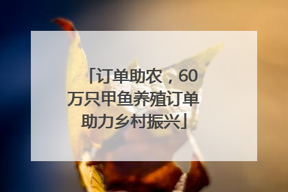 订单助农，60万只甲鱼养殖订单助力乡村振兴