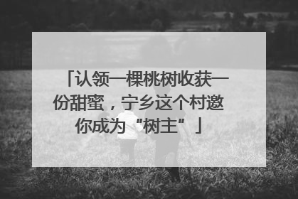 认领一棵桃树收获一份甜蜜，宁乡这个村邀你成为“树主”