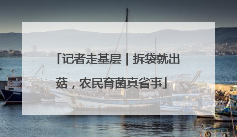 记者走基层｜拆袋就出菇，农民育菌真省事