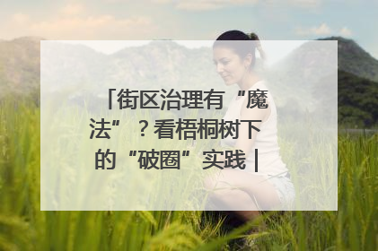 街区治理有“魔法”？看梧桐树下的“破圈”实践｜我在街区当书记