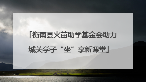 衡南县火苗助学基金会助力城关学子“坐”享新课堂