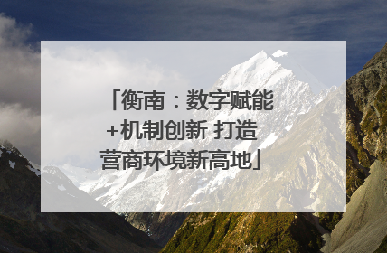衡南：数字赋能+机制创新 打造营商环境新高地