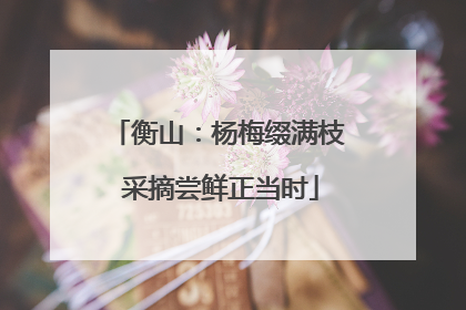 衡山：杨梅缀满枝 采摘尝鲜正当时