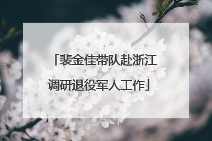 裴金佳带队赴浙江调研退役军人工作