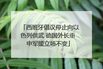 西班牙倡议停止向以色列供武 德国外长重申军援立场不变