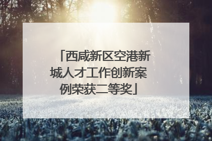 西咸新区空港新城人才工作创新案例荣获二等奖