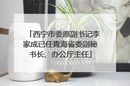 西宁市委原副书记李家成已任青海省委副秘书长、办公厅主任