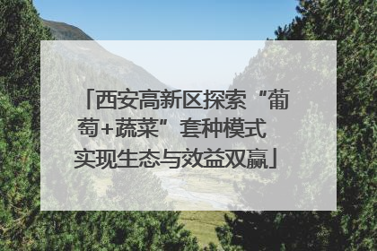 西安高新区探索“葡萄+蔬菜”套种模式 实现生态与效益双赢