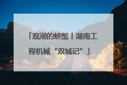 观潮的螃蟹丨湖南工程机械“双城记”
