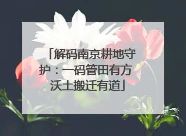 解码南京耕地守护：一码管田有方 沃土搬迁有道