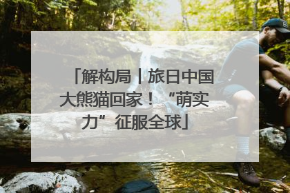 解构局丨旅日中国大熊猫回家！“萌实力”征服全球