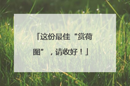 这份最佳“赏荷图”，请收好！