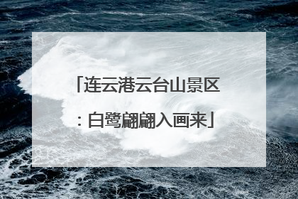 连云港云台山景区：白鹭翩翩入画来