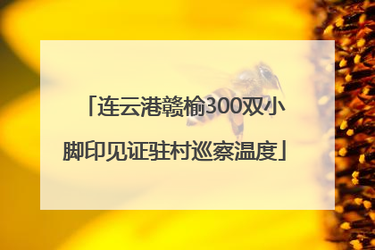 连云港赣榆300双小脚印见证驻村巡察温度