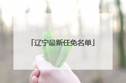 辽宁最新任免名单