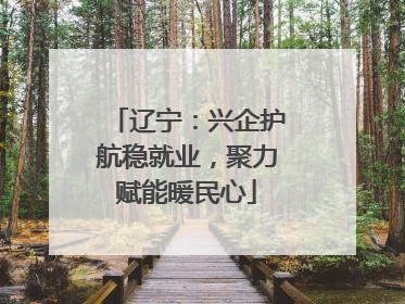 辽宁：兴企护航稳就业，聚力赋能暖民心