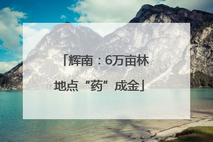 辉南：6万亩林地点“药”成金