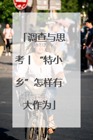 调查与思考丨“特小乡”怎样有大作为