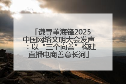 谦寻董海锋2025中国网络文明大会发声：以“三个向善”构建直播电商善意长河