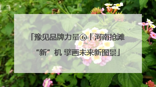 豫见品牌力量⑥丨河南抢滩“新”机 擘画未来新图景