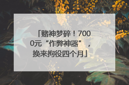 赌神梦碎！7000元“作弊神器”，换来拘役四个月
