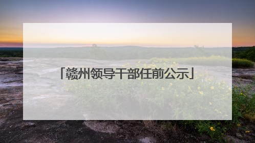 赣州领导干部任前公示