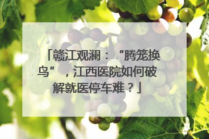 赣江观澜：“腾笼换鸟”，江西医院如何破解就医停车难？