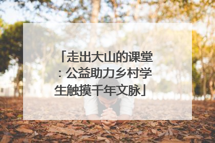 走出大山的课堂：公益助力乡村学生触摸千年文脉