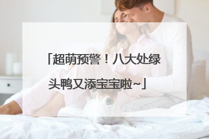超萌预警！八大处绿头鸭又添宝宝啦~