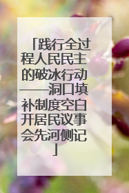 践行全过程人民民主的破冰行动——洞口填补制度空白开居民议事会先河侧记