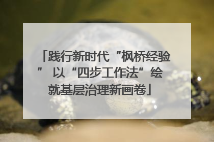 践行新时代“枫桥经验” 以“四步工作法”绘就基层治理新画卷