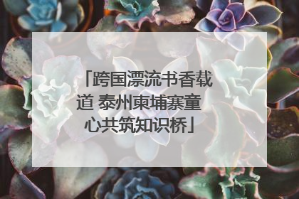 跨国漂流书香载道 泰州柬埔寨童心共筑知识桥