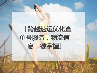 跨越速运优化查单号服务，物流信息一键掌握