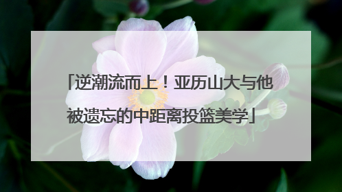 逆潮流而上！亚历山大与他被遗忘的中距离投篮美学